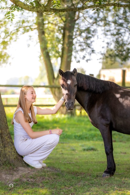 0A8A2717 Modifier Moyenne